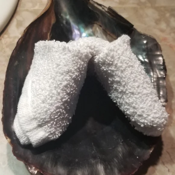 Shell - Picture 7 of 8